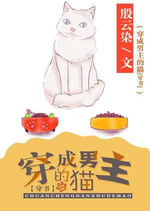 Cat Dressed as a Male Lead [Transmigration Book]